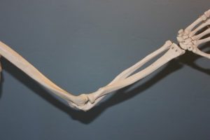 עצמות המרפק טיפול במרפק טניס